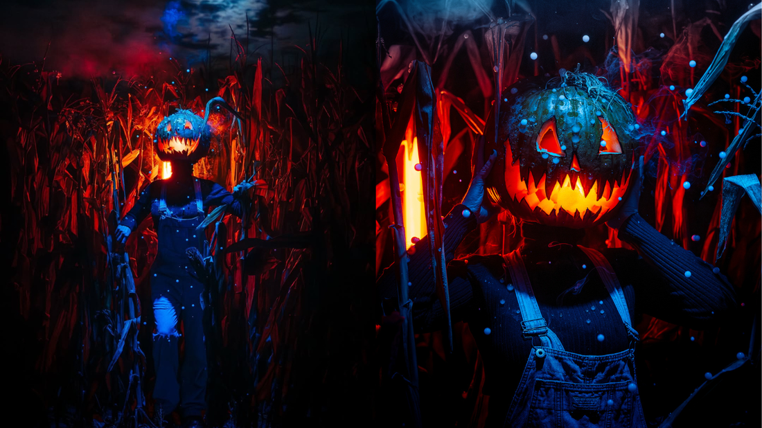 Creator of the Month Guillaume Lemaire